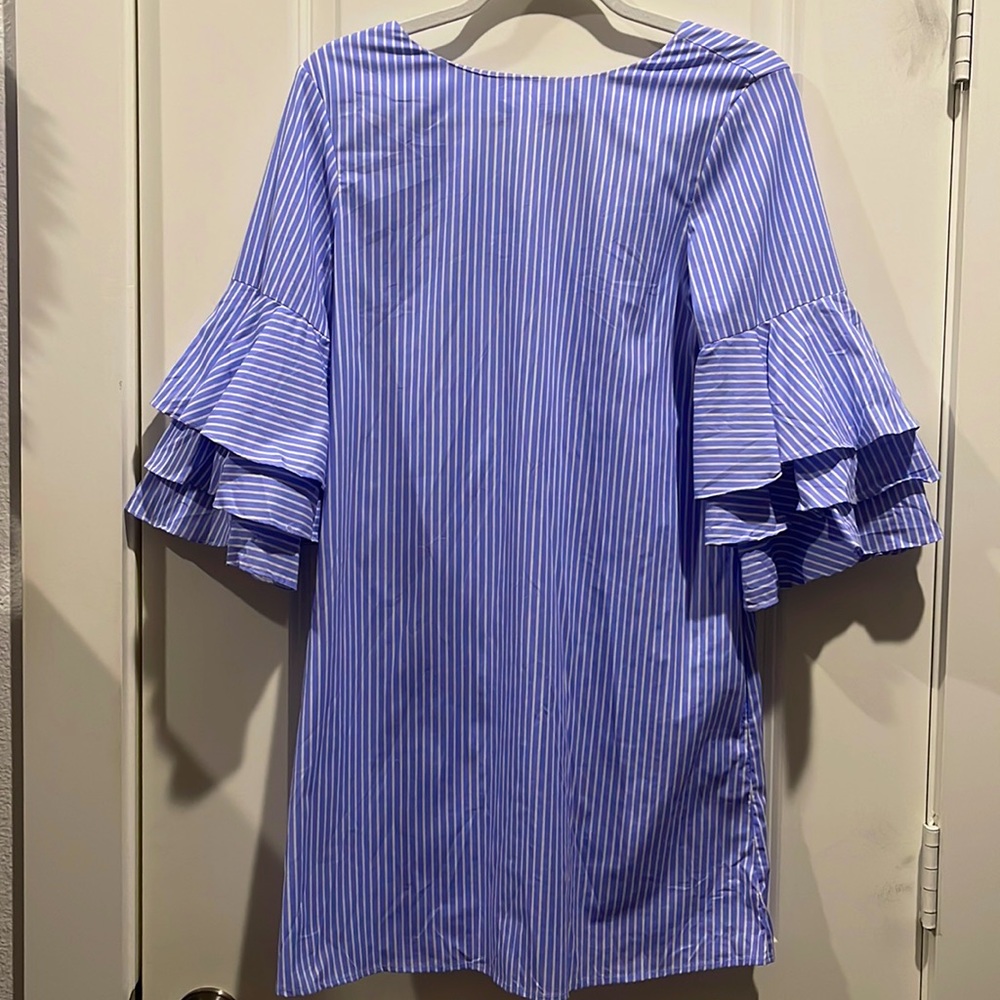 Zara blue and white striped dress with ruffled sleeves.